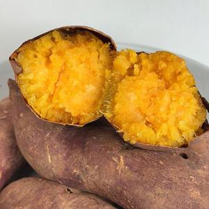 국내산 비세척 호풍미고구마 5kg 중