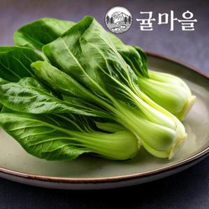 귤마을 국내산 청경채 2kg내외