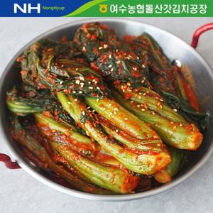 [더싱싱] 여수농협 여수 돌산 갓김치 5kg (HACCP/전통식품인증)
