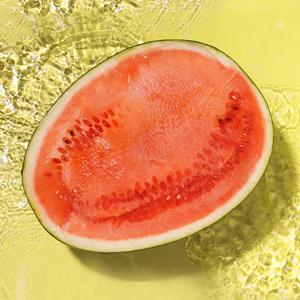 [과일꾼]프리미엄 고당도 정품 꿀 수박5kg