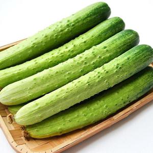국내산 백오이 백다다기 오이 특품 5kg