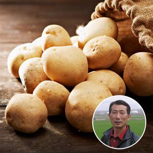 [산지장터] 25년 감자 경북 상주 이정식님의 감자 5kg 대