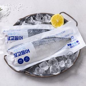 [제주 산지직송] 바다특별시 제주 왕특대 참고등어 140g ~149g 이상 x 14팩 (총 2.0kg이상)
