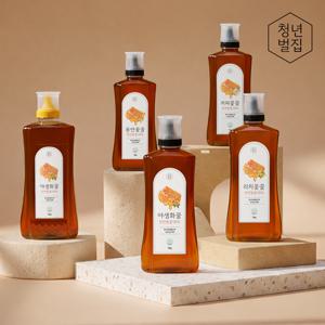 청년벌집 베트남꿀 천연꿀 야생화 리치 커피 롱안 모음