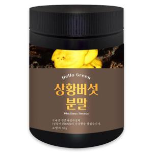 [헬로우그린] 국내산 상황 버섯 분말 가루 50g (통)