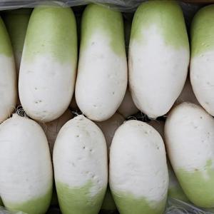 아삭달큰 제주 세척 무 월동무 김장무 무생채 무나물 쌈무 3kg