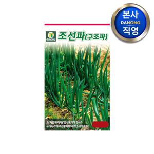 조선파(구조파) 씨앗 1000립 . 야채 채소 텃밭 파종 재배 주말 농장 씨 종자.