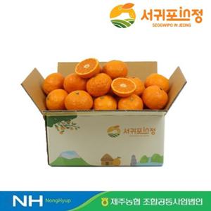 [제주농협] [26년수확] 서귀포in정 햇 카라향 4kg