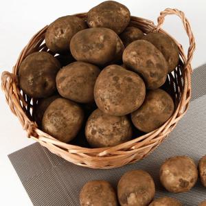 26년  햇감자 포슬포슬 수미감자 특 1.5kg