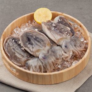 [산지직송] 제철 갑오징어 1kg 3-5미(급냉)
