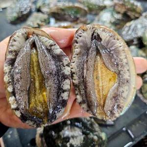 산소포장 완도 활 전복 왕특대 1kg 6-7미(세척솔+칼 증정)