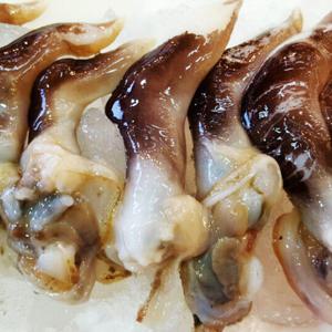 당일작업 생물 손질 새조개 1kg 특상혼합 내장제거