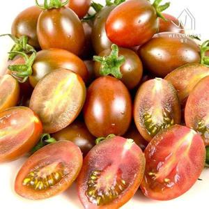 갤러리아_[웰굿] 스테비아 망고향 블랙 스윗마토 방울 토마토 500g