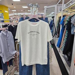 [수스]DP01 단델리온 S242NTS654