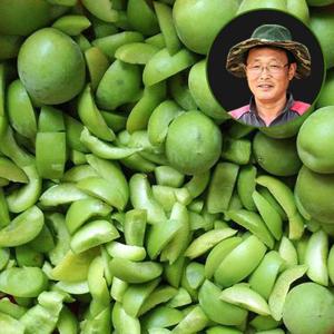 [예약판매] 섬진강 하동 씨제거 청매실 깐매실 5kg