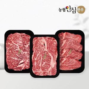 갤러리아_[농협안심한우] 1등급 한우 600g 실속세트(등심200g+채끝 200g+안