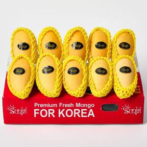 항공직송  5kg(18~20과) 최고급 프리미엄 고당도 태국 골드망고 과일세트 MAN51