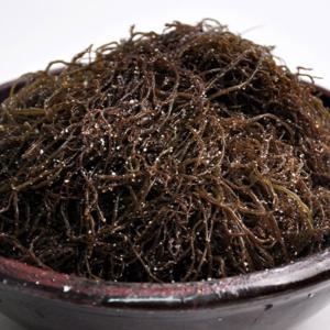 [푸르젠] 완도 염장 꼬시래기 1.5kg
