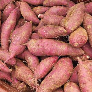 늘푸른 국내산 호박고구마 3kg 특대