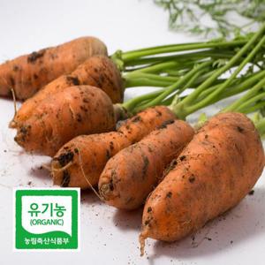 국내산 제주 유기농 당근 못난이 3kg 안심하고 먹는 친환경 흙당근 DO