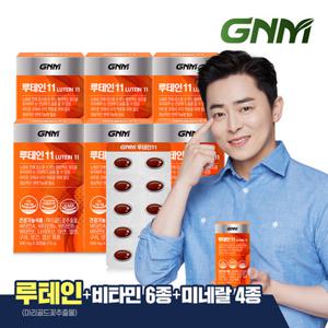 GNM 루테인11 6박스 / 비타민 6종 + 미네랄 4종 눈건강 비타민B 아연 엽산