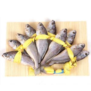 [오영곤영광굴비] 오가1호(21.5~23cm±1cm)10미