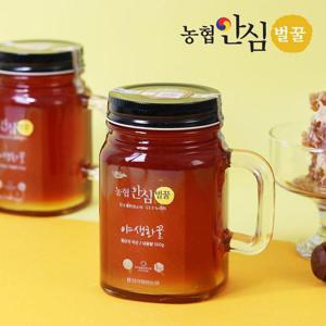 갤러리아_[농협안심벌꿀] 야생화 꿀 500g x 4병