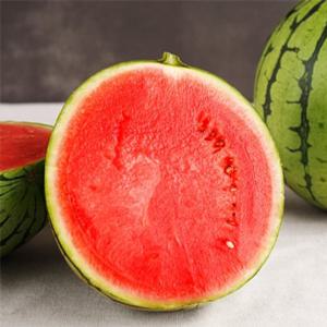 논산 꿀단지 수박 고당도 꿀수박 7~8kg