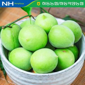 [★농협공동선별/ 산지직송] 하동농협 청매실 10kg(특/L)