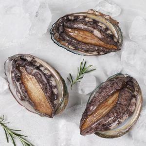 [산지직송]소사이즈 완도 활전복 1kg(25-30미) 산소포장