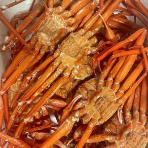 [기타]국내산 울진 홍게 4kg