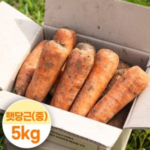 [대한민국농수산] 국내산 제주도 햇당근 (중) 5kg