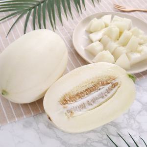 달콤 아삭한 고령 성산메론 설향메론 2kg 3-6과