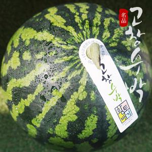[고창특산물] 명품 고창 수박 로얄대과 9kg미만 (선물용)