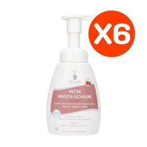 비오텀 크랜베리 여성청결제 250ml (Nr.90 폼타입) X6개