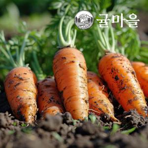귤마을 달큰한 국내산 가정용 흙 당근 3kg