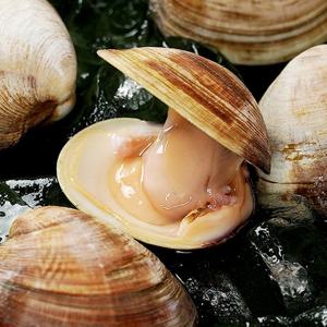 백합조개 2kg 중대사이즈