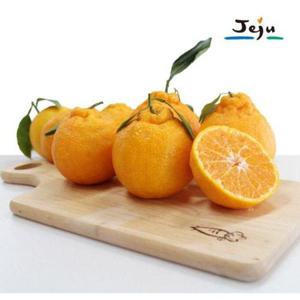 갤러리아_[제주명품] 제주 한라봉 3kg (11-13과)