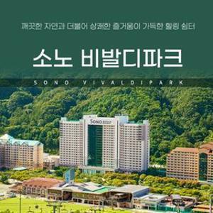 비발디파크 객실+오션월드 2~6인 패키지 얼리버드 ~7/16일까지