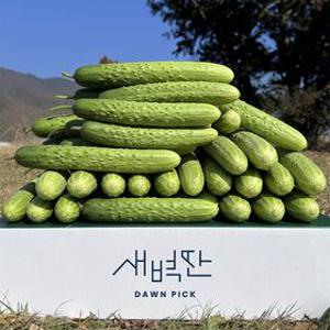 [선착20%쿠폰] 경북 상주 백오이 백다다기 특 5kg 10kg