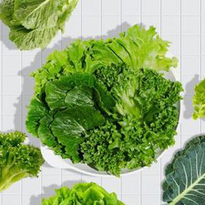 GAP인증 유러피안 샐러드 4종 모둠 1kg(프릴아이스, 카이피라, 버터헤드, 로...