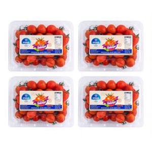 [APP전용] 달콤한 토망고 2kg (500g x4팩) 스테비아 대추방울토마토 일반/망고향/청포도향