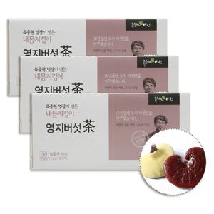 류충현명장이만든 내몸지킴이 영지버섯차 티백 30개 3팩