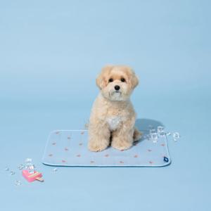 펫본 3도씨 3D 레이어 슈퍼쿨 패드 M BLUE