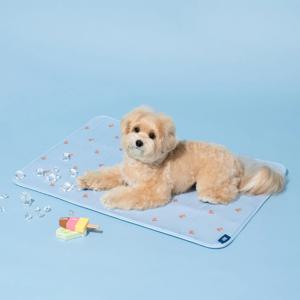 펫본 3도씨 3D 레이어 슈퍼쿨 패드 L BLUE
