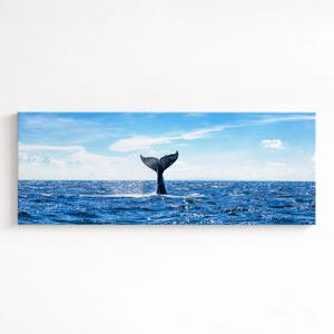 대형 와이드 고래 그림 동물 인테리어 액자 _푸른하늘 고래