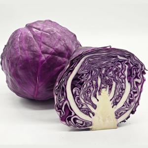국내산 유기농 적양배추 2kg (1+/총4kg), 제주산