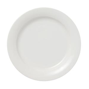 [해외] 아크티카 플레이트 white 17 cm