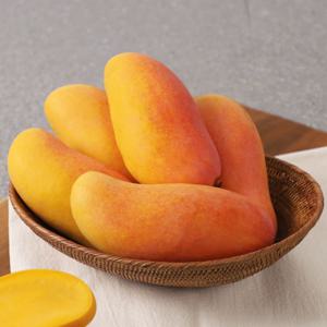 태국 마하차녹 무지개망고 4kg 8-14과/랜덤