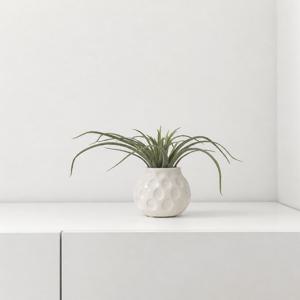이오난사 조화 디자인 002 틸란드시아 화병 set